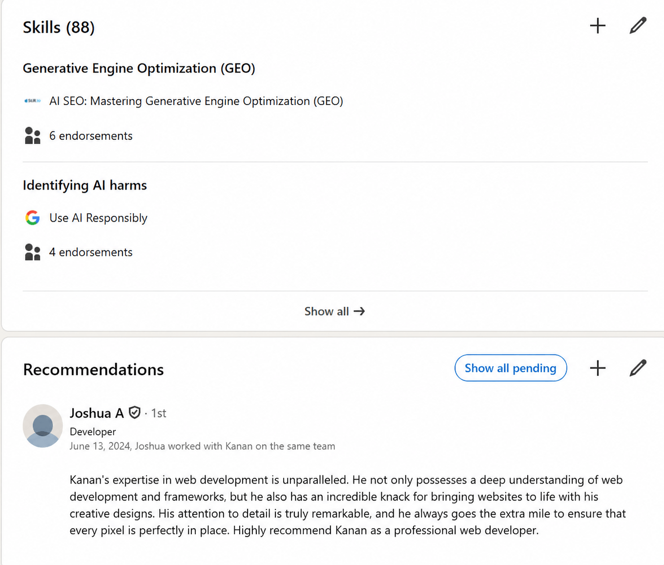 Kanan Alibayov LinkedIn GEO and AI skills endorsed plus peer recommendation